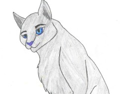 6. Bluestar z knižnej série Klany divých mačiek